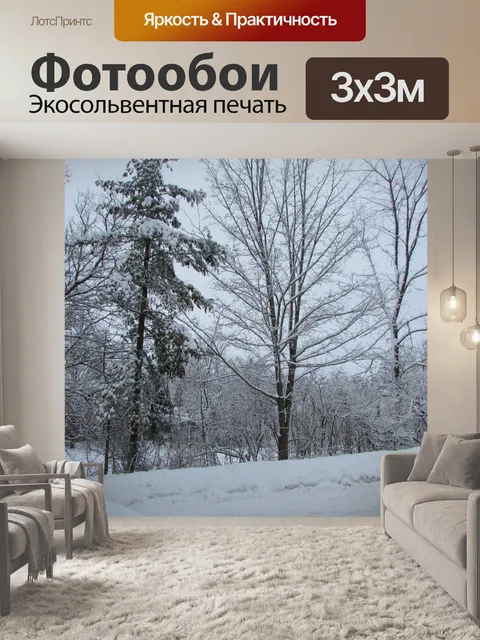 Фотообои Деревья зимой