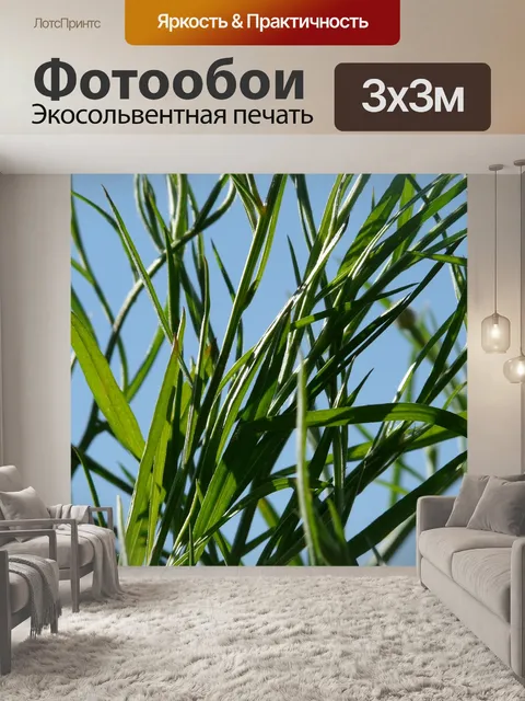 Фотообои Васильковый