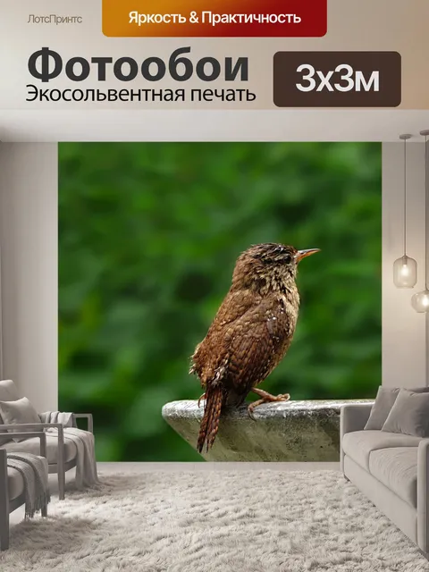 Фотообои Животное