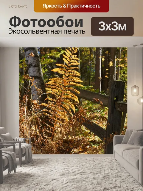 Фотообои Папоротник