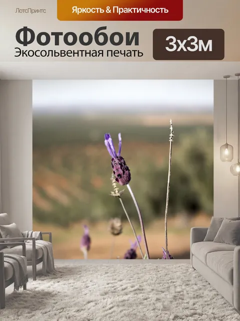 Фотообои Поле