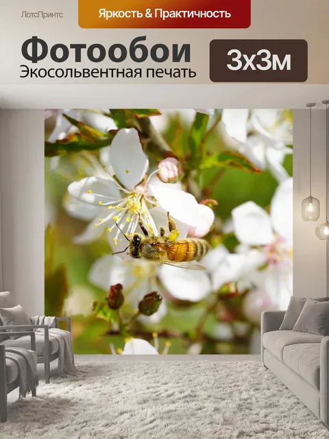 Фотообои Цветок