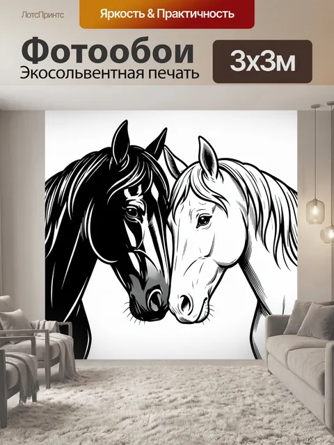 Фотообои Черная и белая лошади