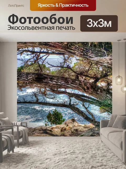 Фотообои Ветви кипариса