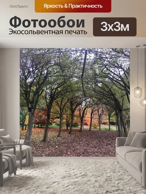Фотообои Деревья