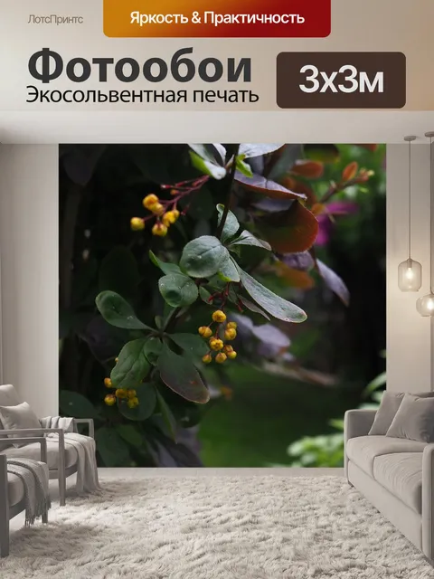 Фотообои Растение