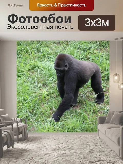 Фотообои Природа