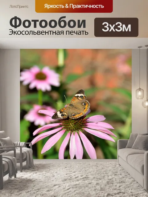 Фотообои Бакай Бабочка