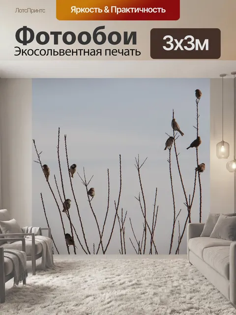 Фотообои Птицы