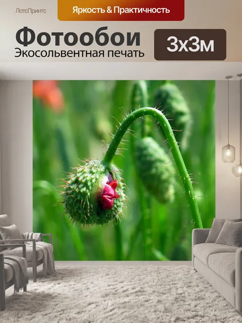 Фотообои Маки