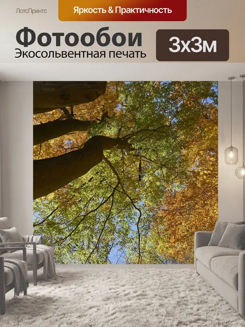 Фотообои Деревья