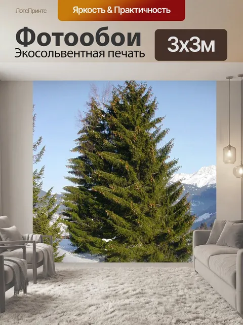 Фотообои Ель