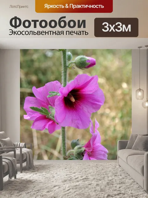 Фотообои Завод фиолетовый мальвы в поле