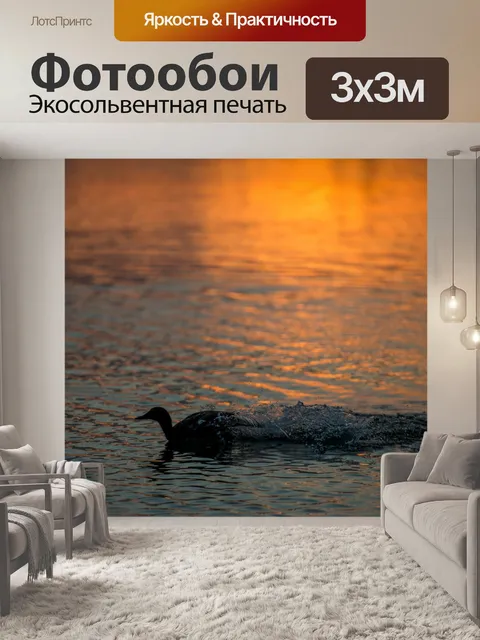 Фотообои Силуэт утка