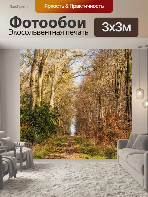Фотообои Дорожка