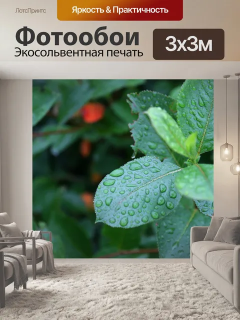 Фотообои Листья