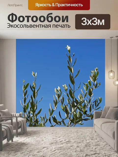Фотообои Оливковые ветви