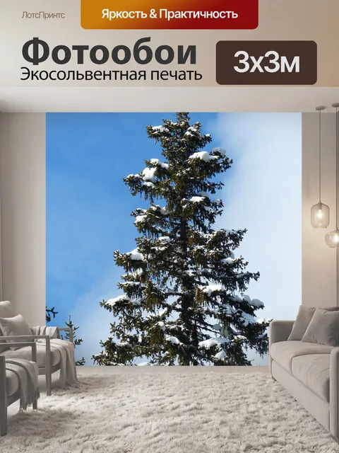 Фотообои Ель