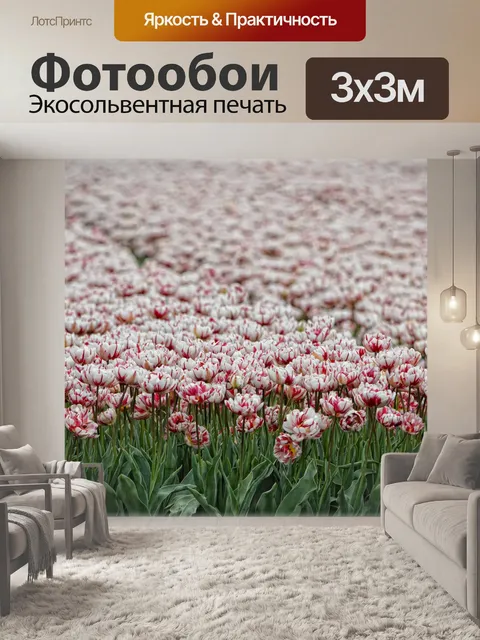 Фотообои Тюльпаны поле 3