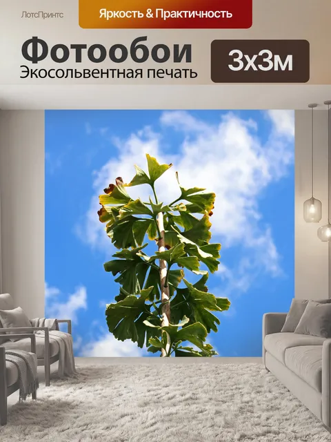 Фотообои верхушка изменения дерева гинкго билоба