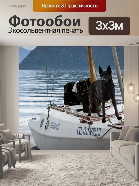 Фотообои Собака