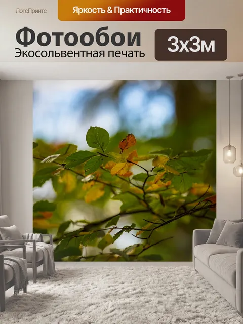 Фотообои осень