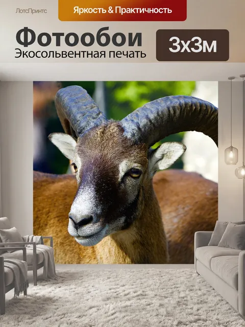Фотообои Природа