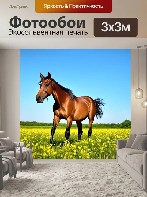 Фотообои конь, прогуливающийся по цветущему полю, ясное голубое небо