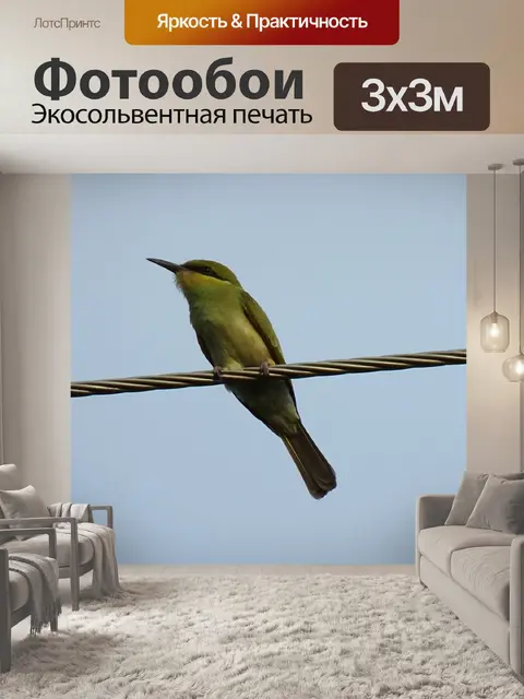 Фотообои Птица