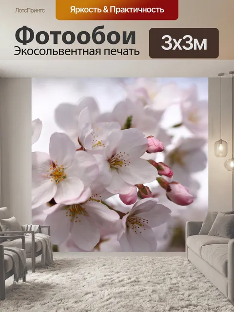 Фотообои Сакура