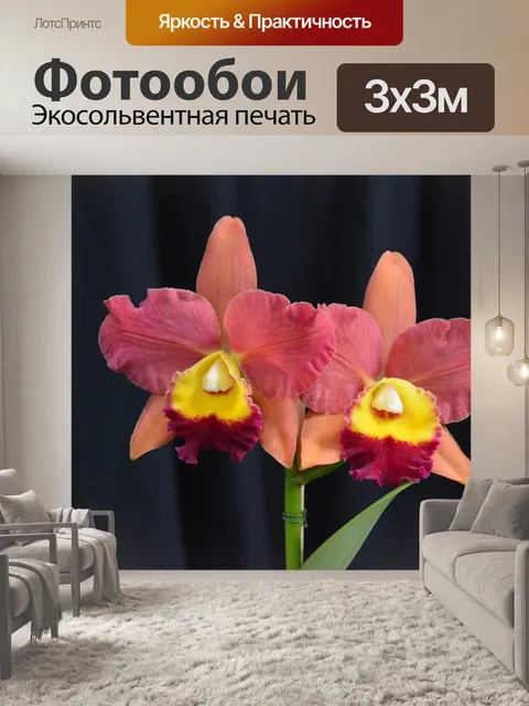 Фотообои Цветы