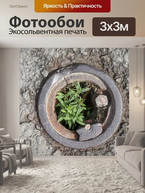 Фотообои Камень