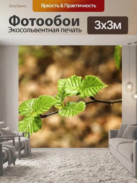 Фотообои Листья