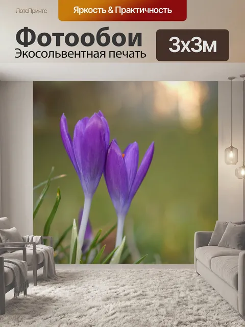 Фотообои Цветы крокусы макросъемка