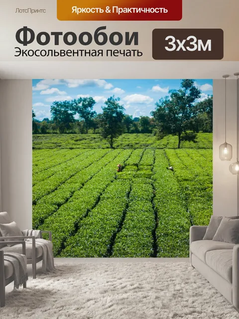 Фотообои Деревья