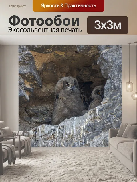Фотообои Птица