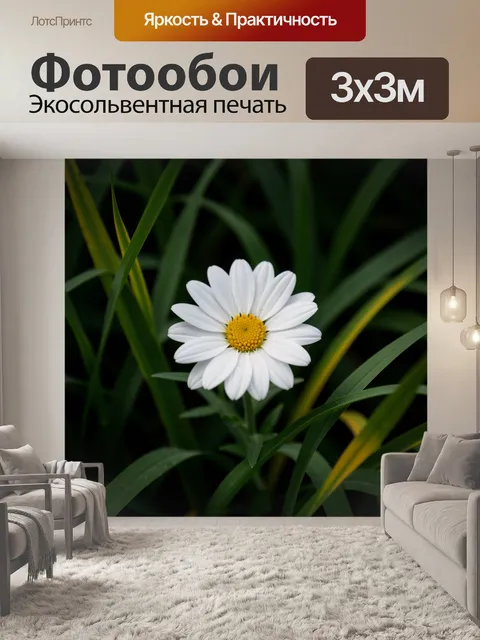Фотообои Белый цветок среди травы