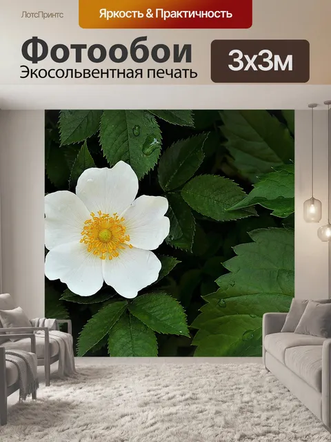 Фотообои Древесные анемоны