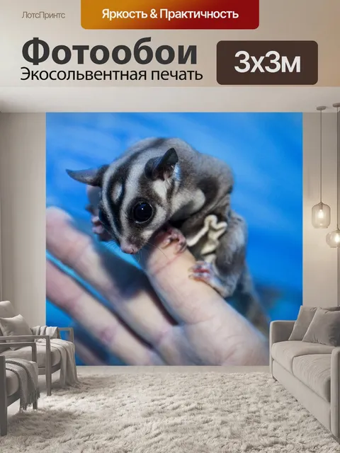 Фотообои Попугай
