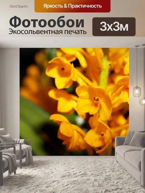 Фотообои Фото цветка орхидеи