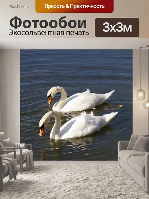 Фотообои Птицы