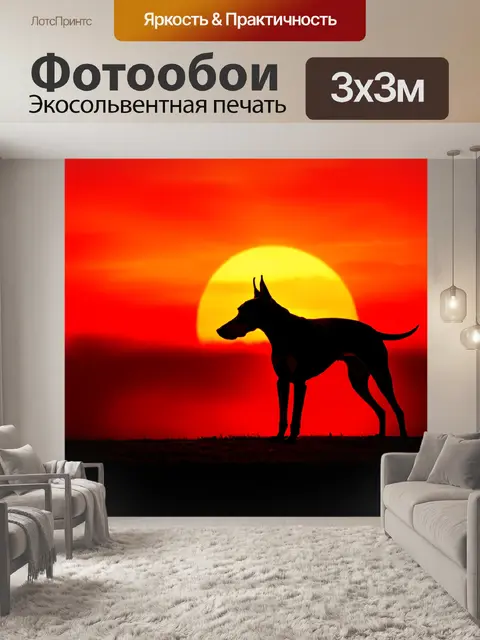 Фотообои сцена, где доберман защищает свою территорию на фоне красивого заката