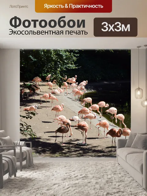Фотообои Фламинго