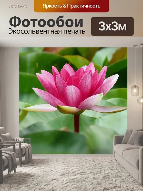 Фотообои Лили