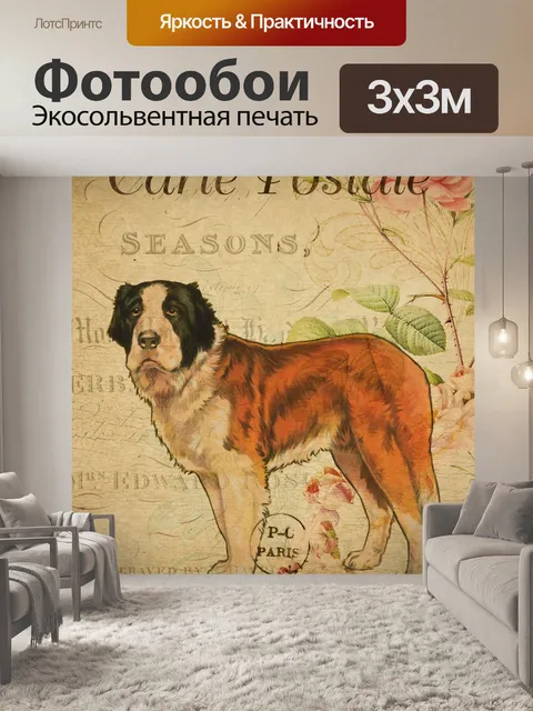 Фотообои Винтажная открытка с собакой сенбернара