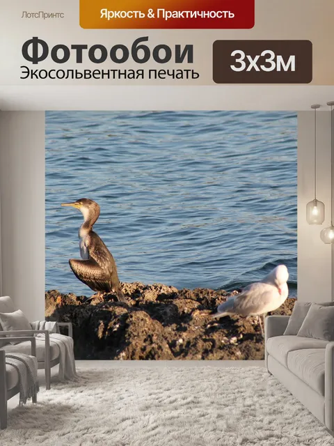 Фотообои Море