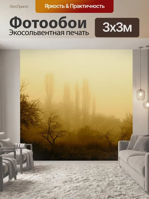 Фотообои Туман