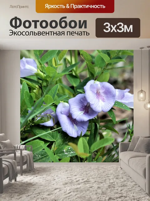 Фотообои Бабочка Горох Полевые цветы