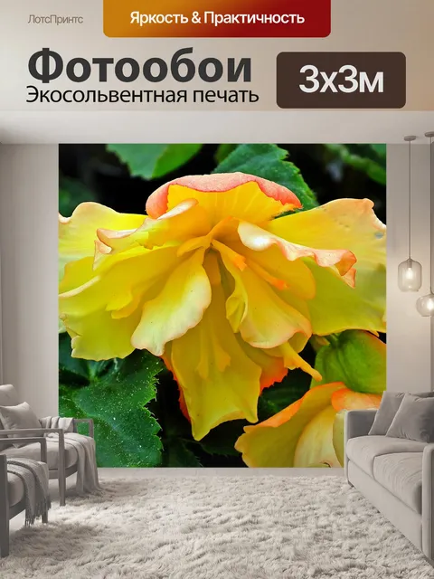 Фотообои Цветы