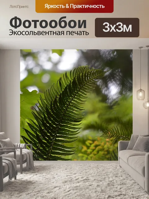 Фотообои Папоротник